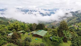 SE VENDE FINCA SOSTENIBLE CON ACCESO A RIO Y VISTAS A CHIRRIPO