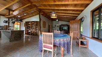 SE VENDE FINCA SOSTENIBLE CON ACCESO A RIO Y VISTAS A CHIRRIPO