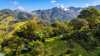 SE VENDE FINCA SOSTENIBLE CON ACCESO A RIO Y VISTAS A CHIRRIPO