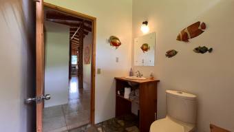 SE VENDE FINCA SOSTENIBLE CON ACCESO A RIO Y VISTAS A CHIRRIPO