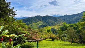 SE VENDE FINCA SOSTENIBLE CON ACCESO A RIO Y VISTAS A CHIRRIPO