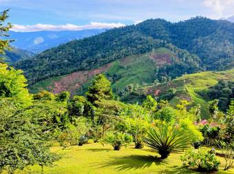 SE VENDE FINCA SOSTENIBLE CON ACCESO A RIO Y VISTAS A CHIRRIPO