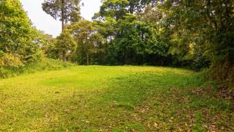 SE VENDE FINCA SOSTENIBLE CON ACCESO A RIO Y VISTAS A CHIRRIPO