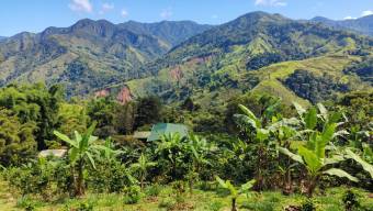 SE VENDE FINCA SOSTENIBLE CON ACCESO A RIO Y VISTAS A CHIRRIPO