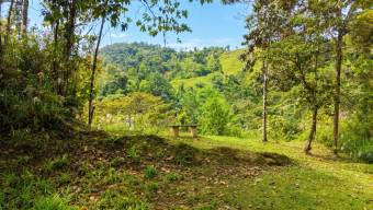 SE VENDE FINCA SOSTENIBLE CON ACCESO A RIO Y VISTAS A CHIRRIPO