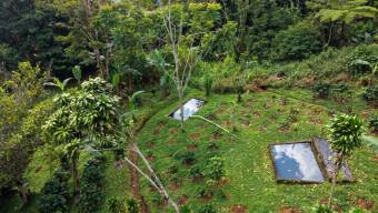 SE VENDE FINCA SOSTENIBLE CON ACCESO A RIO Y VISTAS A CHIRRIPO