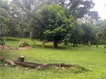 VENTA DE QUINTA CON CASA SEMI-AMUEBLADA Y APTO, ALAJUELA, SAN MATEO
