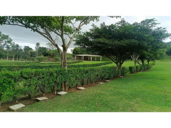 VENTA DE NICHO, SAN JOSE, DESAMPARADOS, CAMPO SANTO LA PIEDAD