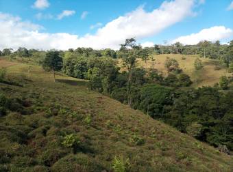 Finca turística de 20 hectáreas con vista panorámica al Mar Caribe