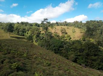 Finca turística de 20 hectáreas con vista panorámica al Mar Caribe