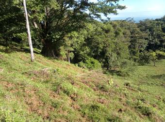 Finca turística de 20 hectáreas con vista panorámica al Mar Caribe