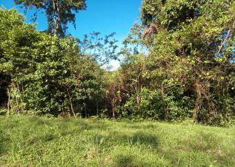 Finca turística de 20 hectáreas con vista panorámica al Mar Caribe