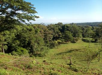 Finca turística de 20 hectáreas con vista panorámica al Mar Caribe