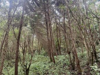 Venta de Terreno en Calle Montaña Tranquila, Santa Bárbara de Heredia. RAH 27-697