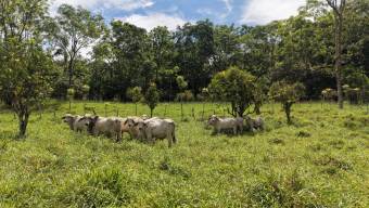 SE VENDE FINCA CON QUEBRADA NATURAL Y FACIL ACCESO EN SAN FRANCISCO DE RIVAS