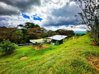 Venta de Casa en Pérez Zeledón. RAH 27-695