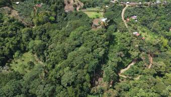 TERRENO LISTO PARA CONSTRUIR CON BOSQUE Y ARROYO CERCA DEL CHIRRIPO