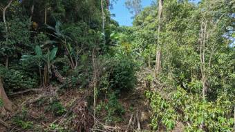 TERRENO LISTO PARA CONSTRUIR CON BOSQUE Y ARROYO CERCA DEL CHIRRIPO