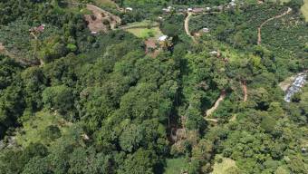 TERRENO LISTO PARA CONSTRUIR CON BOSQUE Y ARROYO CERCA DEL CHIRRIPO