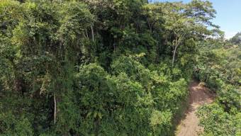 TERRENO LISTO PARA CONSTRUIR CON BOSQUE Y ARROYO CERCA DEL CHIRRIPO