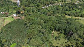 TERRENO LISTO PARA CONSTRUIR CON BOSQUE Y ARROYO CERCA DEL CHIRRIPO