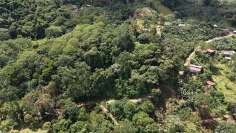 TERRENO LISTO PARA CONSTRUIR CON BOSQUE Y ARROYO CERCA DEL CHIRRIPO