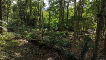 FOR SALE READY-TO-BUILD PROPERTY WITH PEÑAS BLANCAS RIVER ACCESS