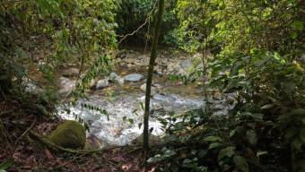 FOR SALE READY-TO-BUILD PROPERTY WITH PEÑAS BLANCAS RIVER ACCESS