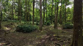 FOR SALE READY-TO-BUILD PROPERTY WITH PEÑAS BLANCAS RIVER ACCESS