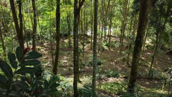 FOR SALE READY-TO-BUILD PROPERTY WITH PEÑAS BLANCAS RIVER ACCESS
