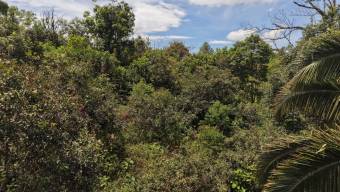 SE VENDE TERRENO LISTO PARA CONSTRUIR CON RIOS Y FINANCIAMIENTO EN SAN FRANCISCO DE CAJON