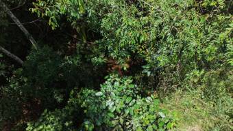 SE VENDE TERRENO LISTO PARA CONSTRUIR CON RIOS Y FINANCIAMIENTO EN SAN FRANCISCO DE CAJON