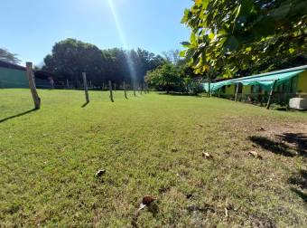 Venta lote Nicoya con teca