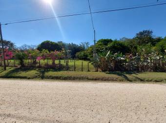 Venta lote Nicoya con teca
