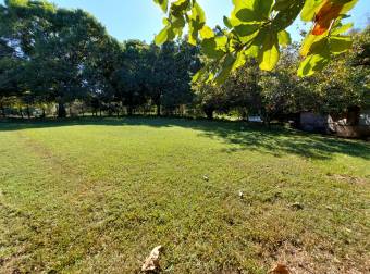 Venta lote Nicoya con teca