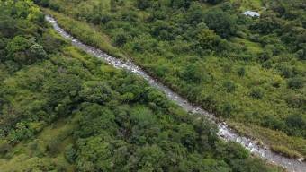 SE VENDE FINCA CON VISTAS AL CHIRRIPO Y ACCESO AL RIO BUENA VISTA
