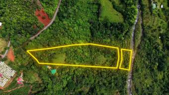 SE VENDE FINCA CON VISTAS AL CHIRRIPO Y ACCESO AL RIO BUENA VISTA