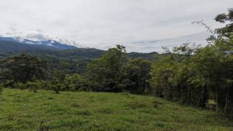SE VENDE FINCA CON VISTAS AL CHIRRIPO Y ACCESO AL RIO BUENA VISTA