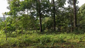 SE VENDE FINCA CON VISTAS AL CHIRRIPO Y ACCESO AL RIO BUENA VISTA