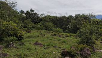 SE VENDE FINCA CON VISTAS AL CHIRRIPO Y ACCESO AL RIO BUENA VISTA