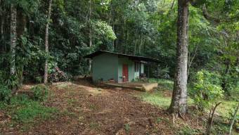 SE VENDE FINCA CON VISTAS AL CHIRRIPO Y ACCESO AL RIO BUENA VISTA