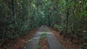 SE VENDE FINCA CON VISTAS AL CHIRRIPO Y ACCESO AL RIO BUENA VISTA