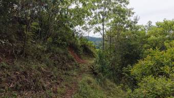 SE VENDE FINCA CON VISTAS AL CHIRRIPO Y ACCESO AL RIO BUENA VISTA