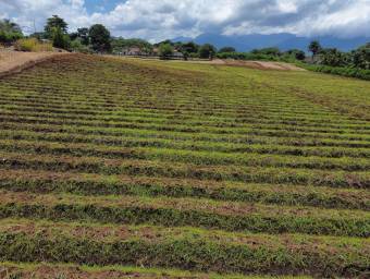Venta de finca de 1,65 hectáreas para desarrollo de cementerio privado en San Rafael de Alajuela #27