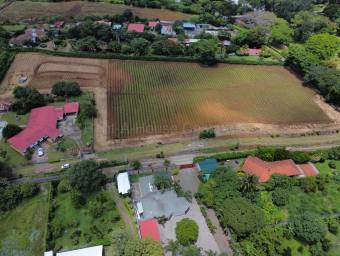 Venta de finca de 1,65 hectáreas para desarrollo de cementerio privado en San Rafael de Alajuela #27