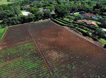 Venta de finca de 1,65 hectáreas para desarrollo de cementerio privado en San Rafael de Alajuela #27