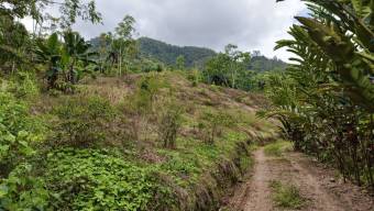 SE VENDE FINCA CON CASCADA PRIVADA Y ENTORNO NATURAL UNICO