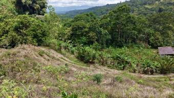 SE VENDE FINCA CON CASCADA PRIVADA Y ENTORNO NATURAL UNICO