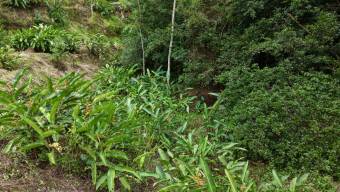 SE VENDE FINCA CON CASCADA PRIVADA Y ENTORNO NATURAL UNICO