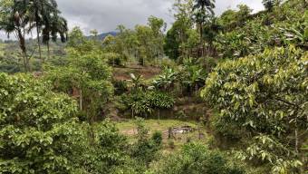 SE VENDE FINCA CON CASCADA PRIVADA Y ENTORNO NATURAL UNICO